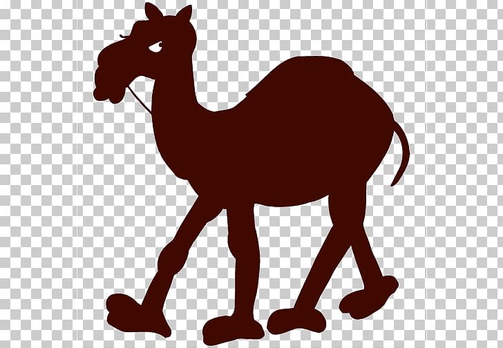 Dromedary Campbell Fighting Camels Football Silhouette PNG, Clipart, Arabian Camel, Camel, Camel Football Cliparts, Camel Like Mammal, Campbell Fighting Camels Football Free PNG Download