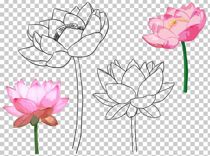 Floral Design Croquis Illustration PNG, Clipart, Aquatic Plant, Artwork, Birdandflower Painting, Black And White, Color Free PNG Download