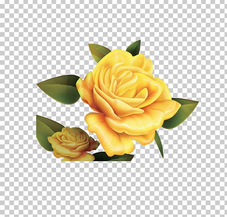 Garden Roses Paper Beach Rose Yellow Parchment PNG, Clipart, Bea, Cardboard, Cut Flowers, Floral Design, Flower Free PNG Download