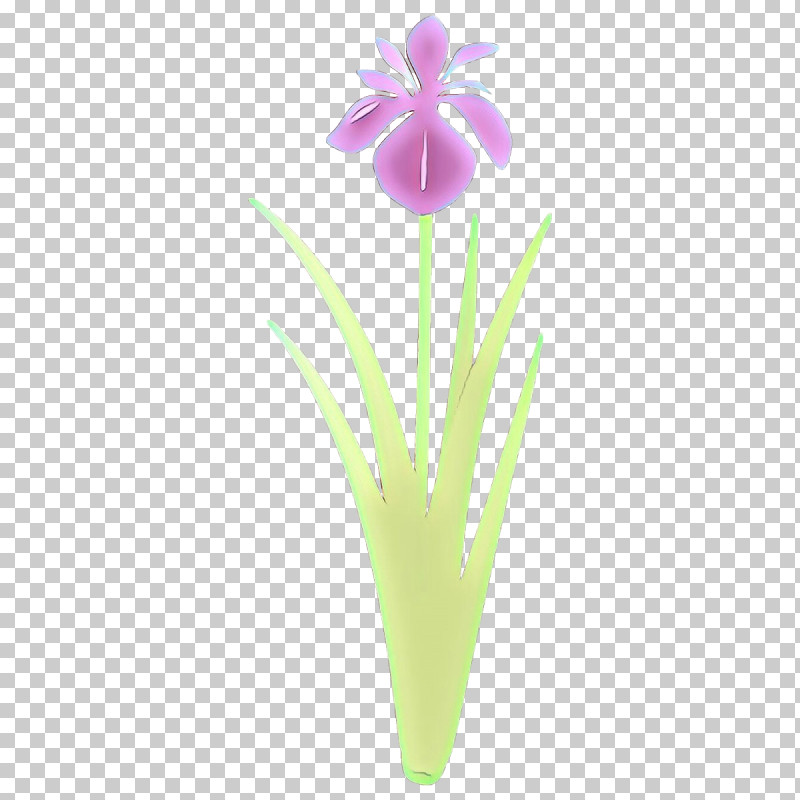 Flower Plant Petal Iris Tulip PNG, Clipart, Flower, Iris, Pedicel, Petal, Plant Free PNG Download