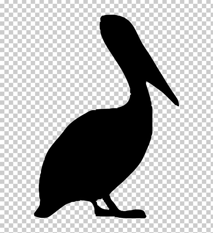 Bird Brown Pelican PNG, Clipart, Animal, Animals, Animal Silhouettes, Art, Artwork Free PNG Download
