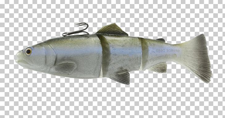 Fishing Baits & Lures Perch Rainbow Trout Oily Fish PNG, Clipart, American Shad, Bait, Bony Fish, Fauna, Fish Free PNG Download