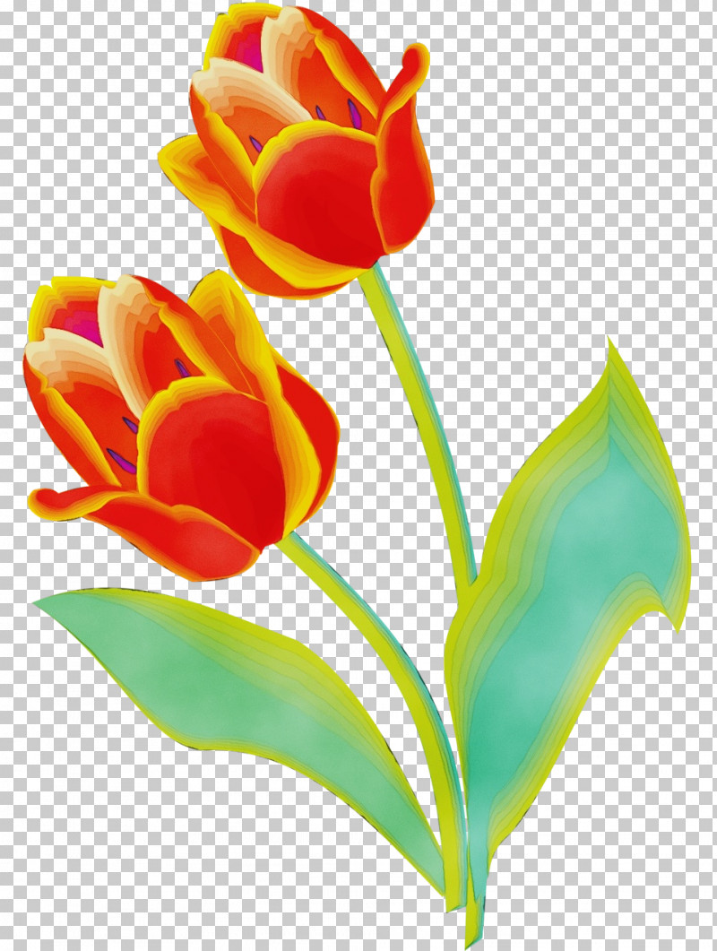 Flower Petal Tulip Plant Pedicel PNG, Clipart, Cut Flowers, Flower, Lily Family, Paint, Pedicel Free PNG Download