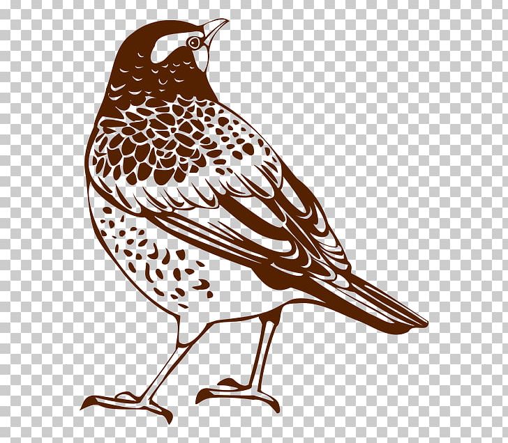 Ha A Világ Rigó Lenne Photography PNG, Clipart, Art, Beak, Bird, Black And White, Computer Icons Free PNG Download