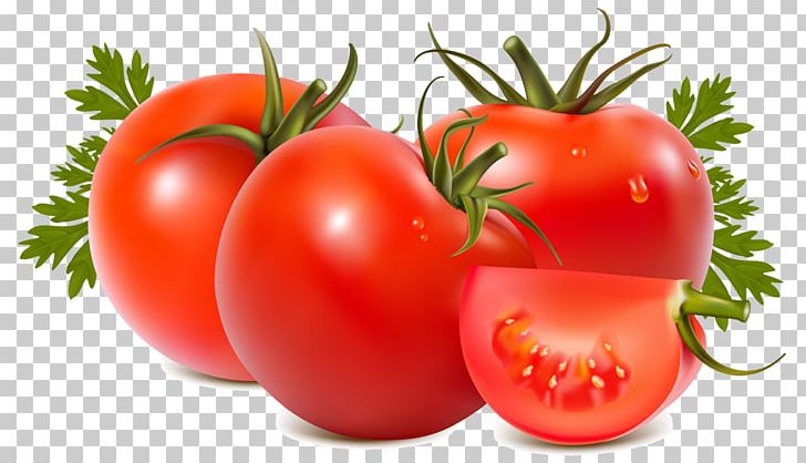 Tomato Soup Tomato Juice Vegetable Tomato Sauce PNG, Clipart, Bell Pepper, Bush Tomato, Diet Food, Domates, Food Free PNG Download