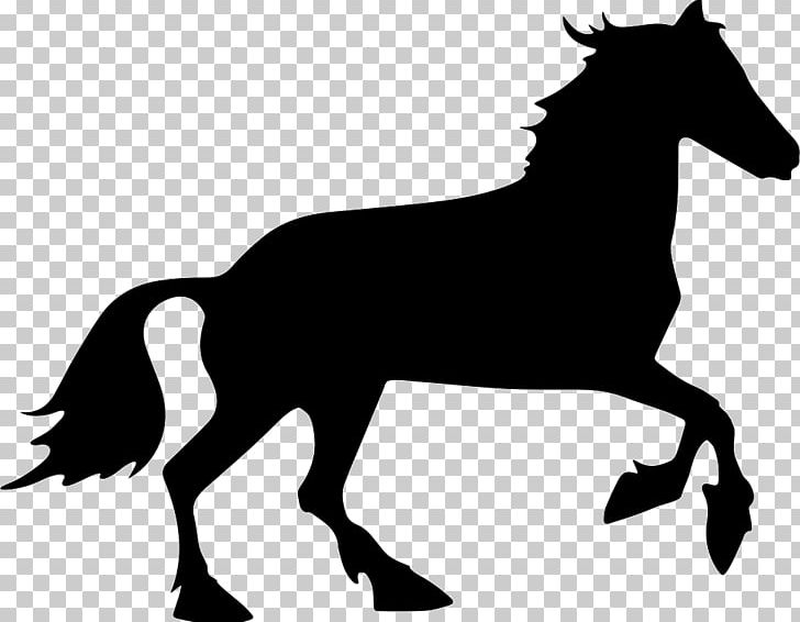 Horse PNG, Clipart, Animals, Black And White, Colt, Computer Icons, Download Free PNG Download