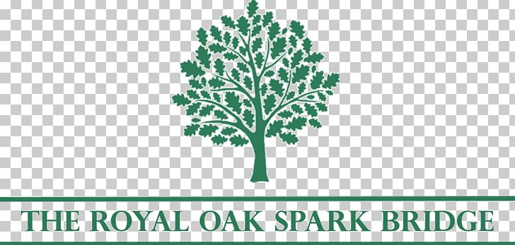 Oak Tree Acorn PNG, Clipart, Acorn, Branch, Brand, Color, Cumbria Free PNG Download