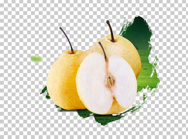 Asian Pear Pyrus Nivalis U7800u5c71u9165u68a8 Fruit PNG, Clipart, Apple, Asian Pear, Auglis, Brush, Brush Strokes Free PNG Download
