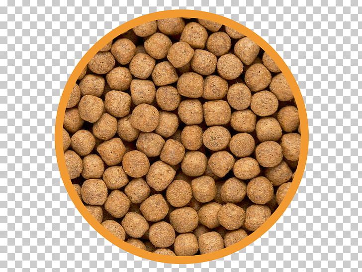 Cat Food Dog Food Hill's Pet Nutrition PNG, Clipart,  Free PNG Download