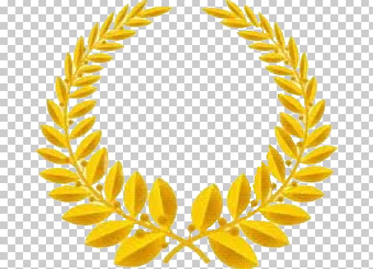 Laurel Wreath Bay Laurel Gold PNG, Clipart, Bay Laurel, Body Jewelry, Commodity, Crown, Flower Free PNG Download