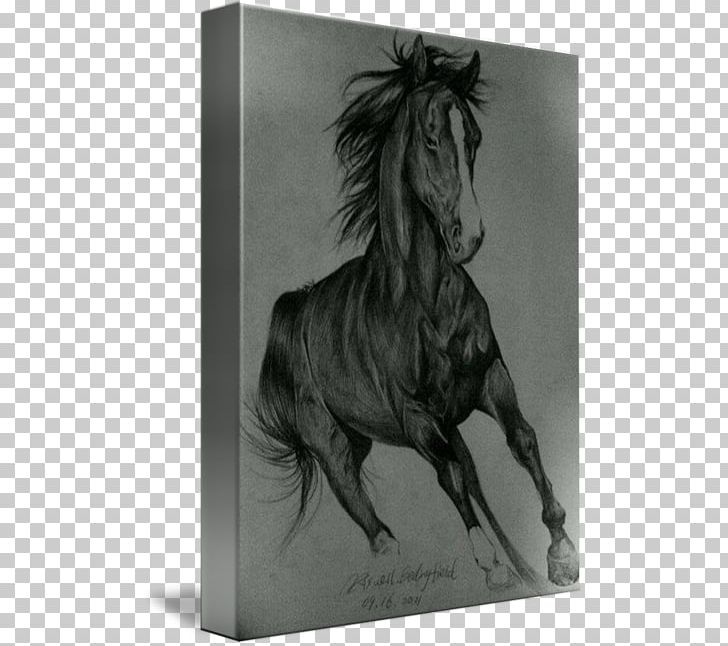Mustang Stallion Mane Mare Bridle PNG, Clipart, Art, Artwork, Ballpoint Pen Artwork, Black And White, Bridle Free PNG Download