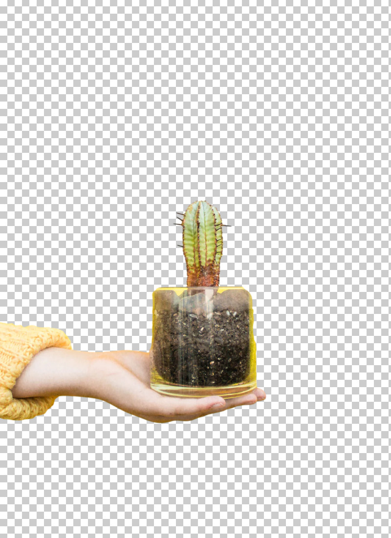 Cactus PNG, Clipart, Cactus, Clinical Nutrition, Computer Program, Industrial Design, Interactivity Free PNG Download