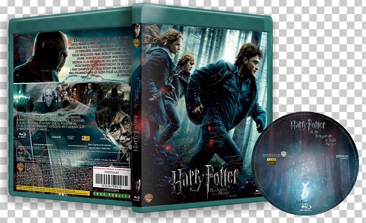 Harry Potter DVD Dipartimento Di Scienze Politiche Dell'Università Degli Studi Di Genova STXE6FIN GR EUR Merchandising PNG, Clipart,  Free PNG Download
