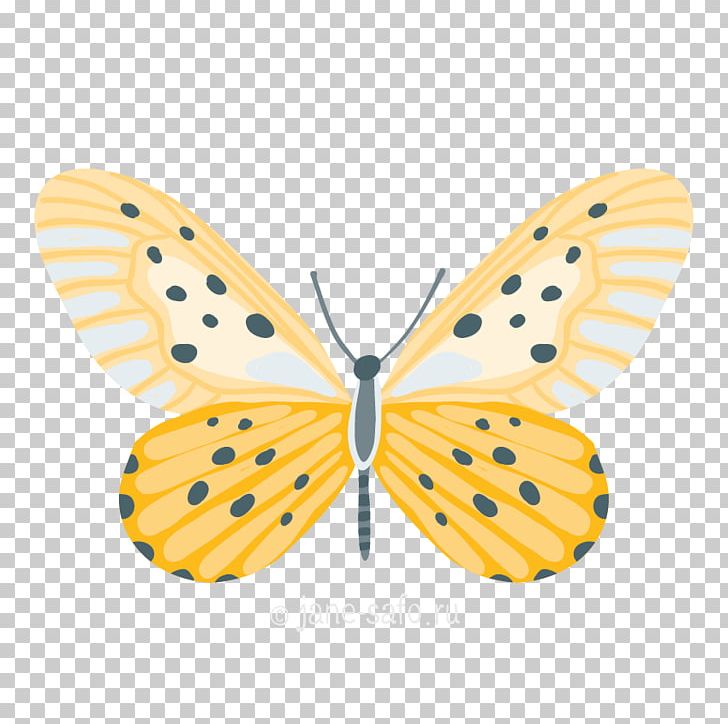 Monarch Butterfly Pieridae Moth Nymphalidae PNG, Clipart, Arthropod, Brush Footed Butterfly, Butterfly, Insect, Insects Free PNG Download