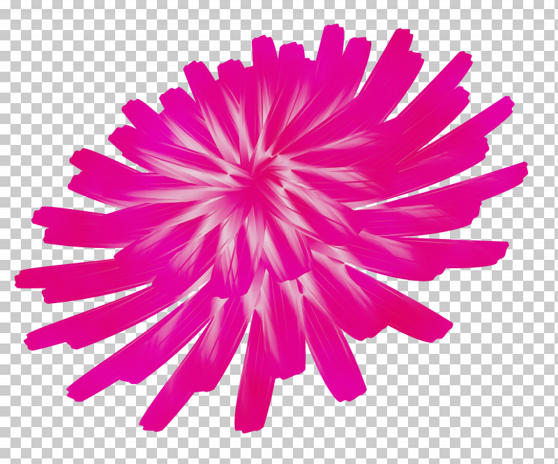 Dahlia Cut Flowers Chrysanthemum Petal Line PNG, Clipart, Biology, Chrysanthemum, Cut Flowers, Dahlia, Dandelion Flower Free PNG Download