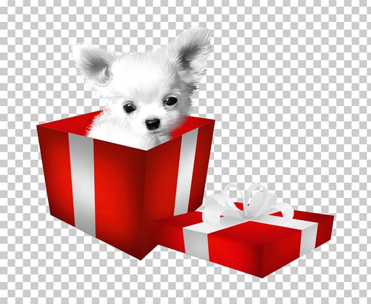 Chihuahua Bulldog Beagle Dogo Argentino Puppy PNG, Clipart, Animals, Beagle, Box, Boxes, Boxing Free PNG Download