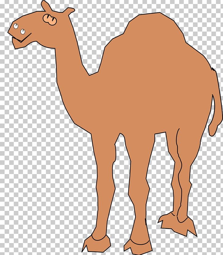 Dromedary PNG, Clipart, Animal Figure, Animals, Animation, Arabian Camel, Blog Free PNG Download