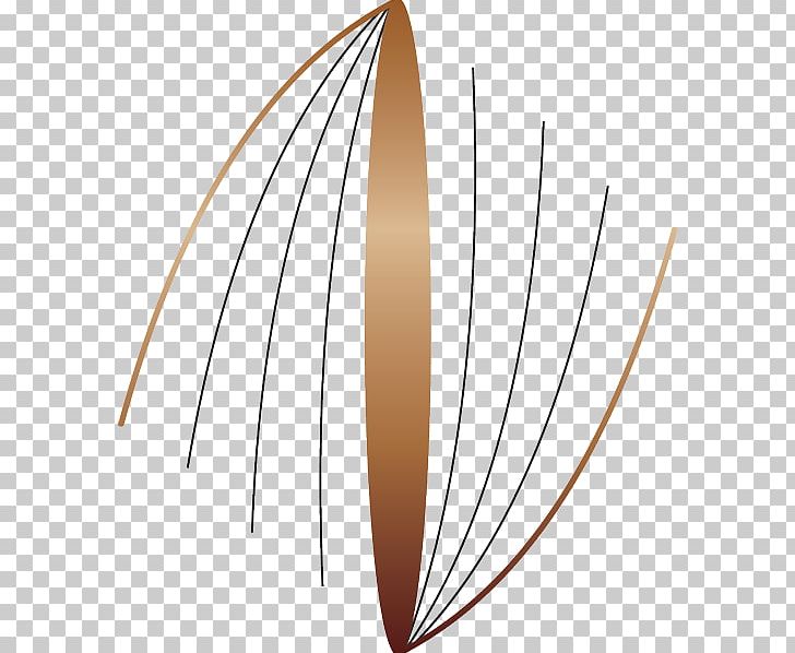 Line Angle PNG, Clipart, Angle, Art, Leaf, Line Free PNG Download