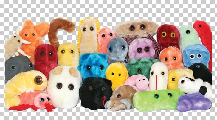 Plush Stuffed Animals & Cuddly Toys GIANTmicrobes Microorganism Bacteria PNG, Clipart, Bacteria, Child, Fur, Giant, Giantmicrobes Free PNG Download