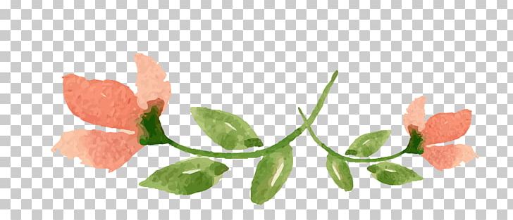 Watercolor Painting Flower Valentines Day PNG, Clipart, Computer Wallpaper, Designer, Flower, Flowers, Food Free PNG Download