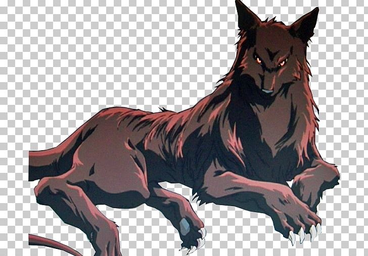 Dog Cat Mammal Red Wolf Canidae PNG, Clipart, Animal, Animals, Big Cat, Big Cats, Canidae Free PNG Download