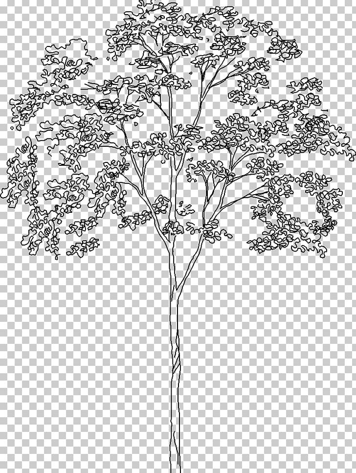 Studer Design Associates Urban Park House Indian Head Park PNG, Clipart, Architect, Black And White, Branch, Brookfield, Cad Free PNG Download