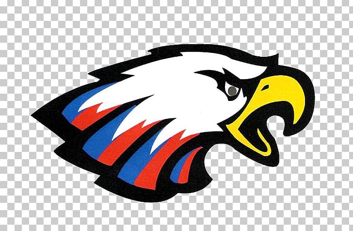 American High School National Secondary School Eagle High School School District PNG, Clipart, American High School, Artwork, Beak, Bird, Eagle High School Free PNG Download