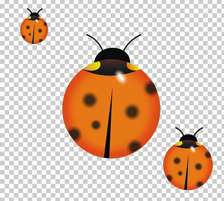 Beetle Ladybird PNG, Clipart, Beetle, Beetles, Cartoon, Cute Ladybug, Download Free PNG Download