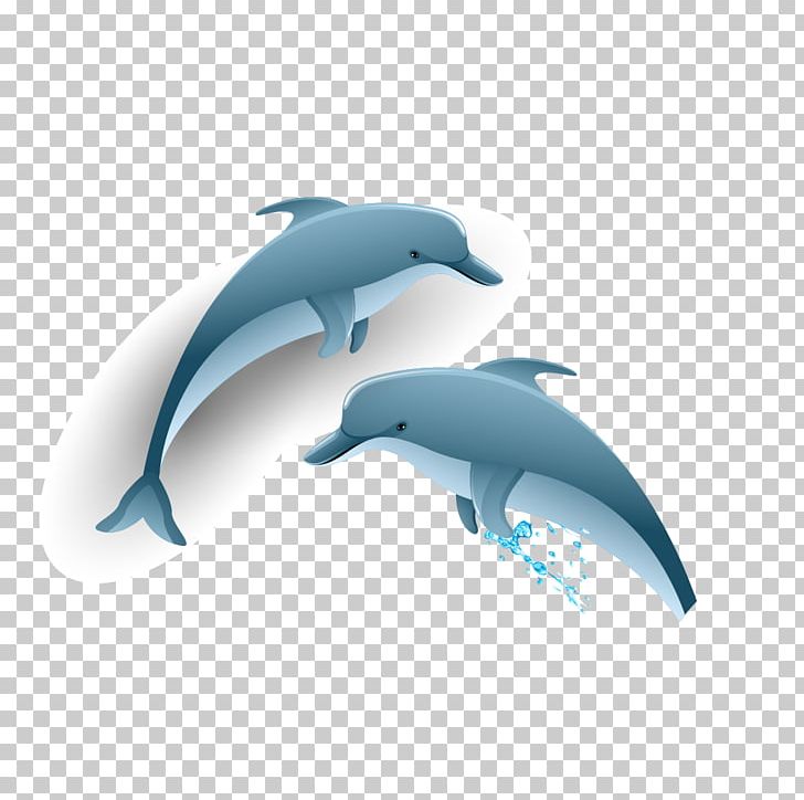 Common Bottlenose Dolphin Tucuxi PNG, Clipart, Animals, Cartoon Dolphin, Cute Dolphin, Dolphin, Dolphin Cartoon Free PNG Download