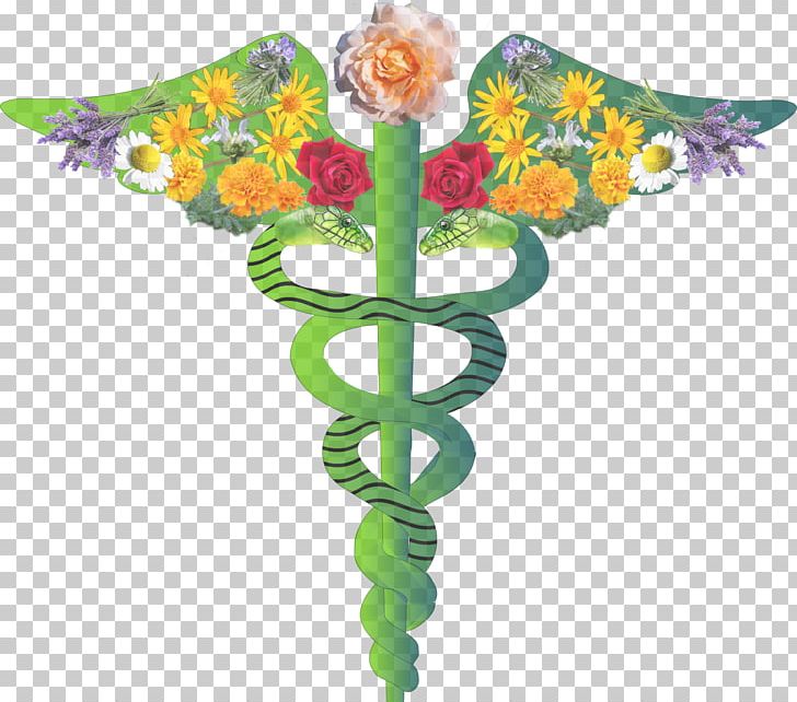 Physician Doctor Of Medicine Staff Of Hermes Health Care PNG, Clipart, American Medical Association, Approved, Aromatherapy, Caduceus As A Symbol Of Medicine, Clinic Free PNG Download