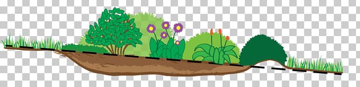 Rain Garden Flower Garden Stormwater PNG, Clipart, Amount, Clean Nova Scotia, Drainage Basin, Flower Garden, Garden Free PNG Download