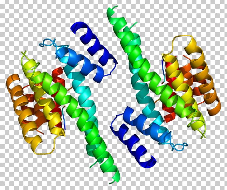 YWHAZ 14-3-3 Protein Gene HMGN1 Ubiquitin PNG, Clipart, 1433 Protein, Alpha Helix, Body Jewelry, Craf, Crystal Structure Free PNG Download