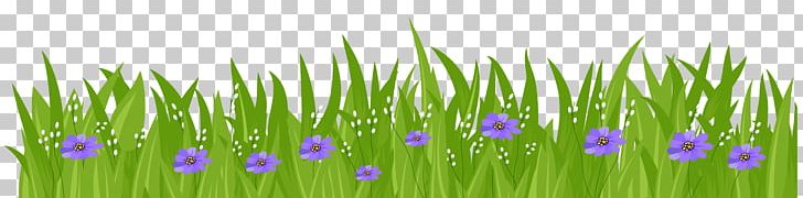 Flower Lawn PNG, Clipart, Blue, Clip Art, Commodity, Computer Wallpaper, Desktop Wallpaper Free PNG Download