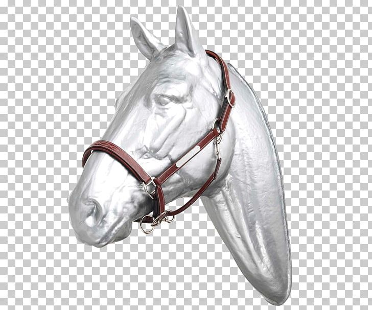 Horse Tack Bridle Halter Girth PNG, Clipart, Animals, Bridle, Dressage, English Riding, Equestrian Free PNG Download