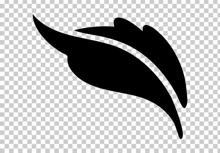 Leaf Shape Leaf Shape Computer Icons PNG, Clipart, Art, Autumn Leaf Color, Black, Black And White, Circle Free PNG Download