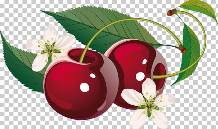 Sweet Cherry Cerasus PNG, Clipart, Auglis, Berry, Cake, Cerasus, Cherry Free PNG Download