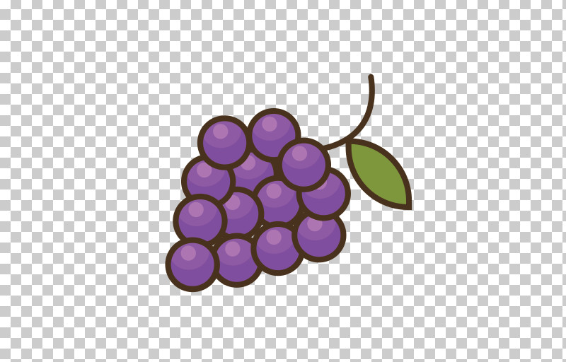 Grape Grapevine Family Fruit Purple Violet PNG, Clipart, Berry, Fruit, Grape, Grapevine Family, Plant Free PNG Download