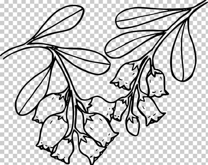 Bearberry Coloring Book PNG, Clipart, Arctostaphylos, Area, Art, Artwork, Bearberry Free PNG Download
