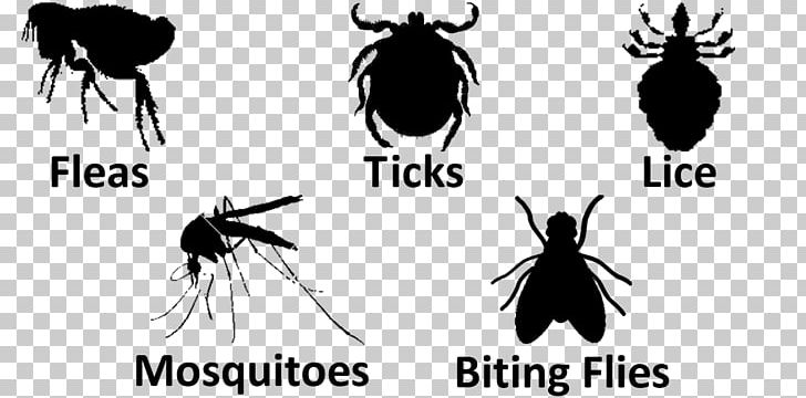 Mosquito Insect Logo Tick Font PNG, Clipart, Arthropod, Black And White, Disease, Insect, Insects Free PNG Download