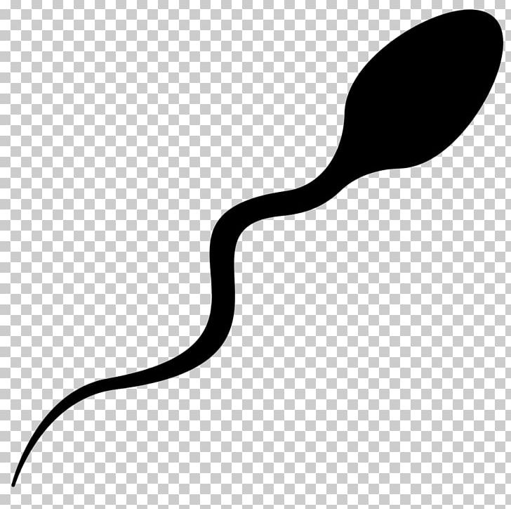 Spermatozoon Semen Analysis Male PNG, Clipart, Banana, Black And White, Disease, Fruit Nut, Health Free PNG Download