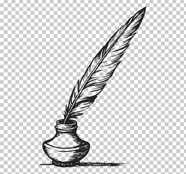 Feather Pen Quill Literatura Europea Y Edad Media Latina Mistborn PNG, Clipart, Animals, Bird, Black And White, Book, Feather Free PNG Download