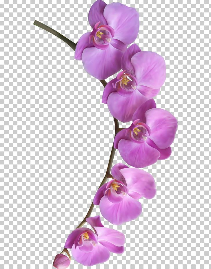 Flower Brochure PNG, Clipart, Calla, Cut Flowers, Floral Design, Flower Bouquet, Flowering Plant Free PNG Download