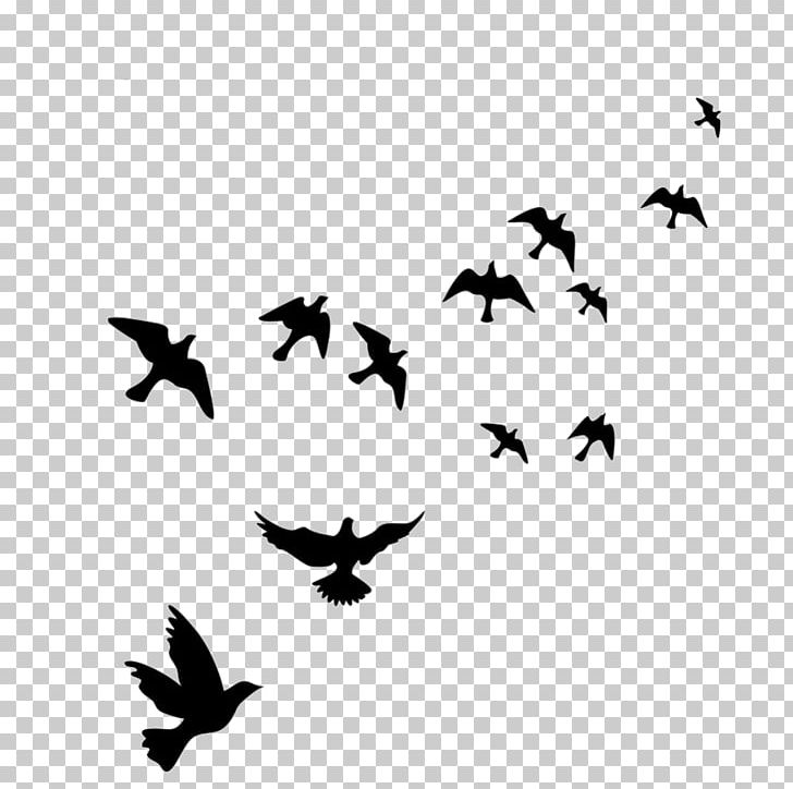 Bird Flight Wall Decal Polyvinyl Chloride PNG, Clipart, Animals, Beak, Bird, Bird Flight, Bird Migration Free PNG Download