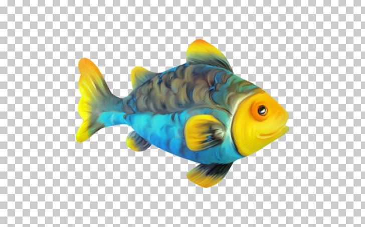 Bony Fishes Animaatio Marine Biology PNG, Clipart, Animaatio, Animals, Bony Fish, Bony Fishes, Coral Reef Fish Free PNG Download
