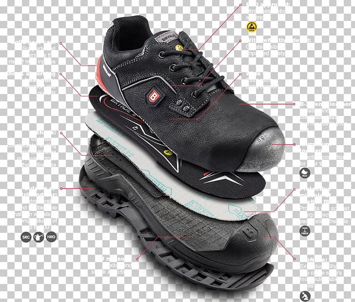 Shoe Sneakers Sportswear Hiking Boot PNG, Clipart, Athletic Shoe, Brand, Crosstraining, Cross Training Shoe, Footwear Free PNG Download