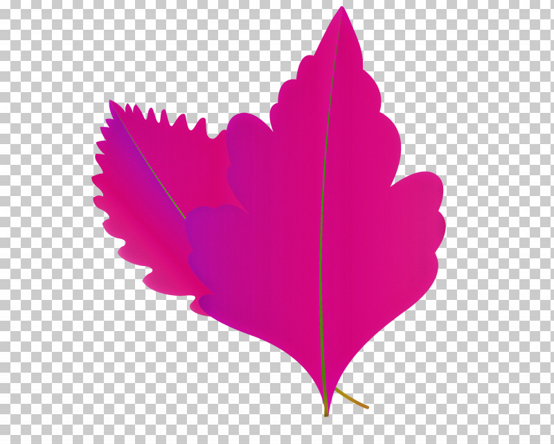Maple Leaf PNG, Clipart, Autumn Leaf, Autumn Leaf Color, Biology, Cartoon Leaf, Fall Leaf Free PNG Download