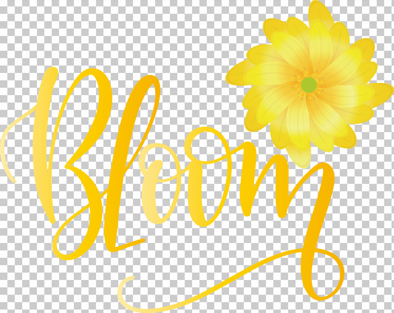 Bloom Spring PNG, Clipart, Bloom, Cut Flowers, Floral Design, Flower, Free Free PNG Download