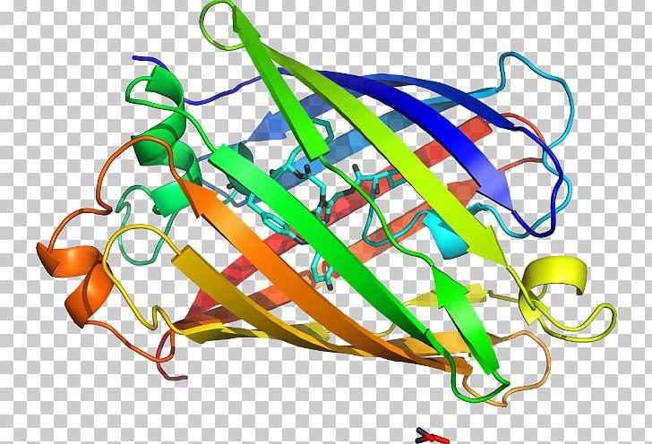 Can F 1 Lipocalin Allergen Sequence PNG, Clipart, Allergen, Area, Artwork, Atom, Branchiostomidae Free PNG Download