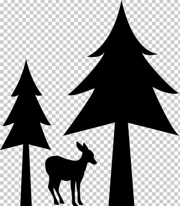 Christmas Tree Forest PNG, Clipart, Branch, Christmas, Christmas Decoration, Christmas Tree, Computer Icons Free PNG Download