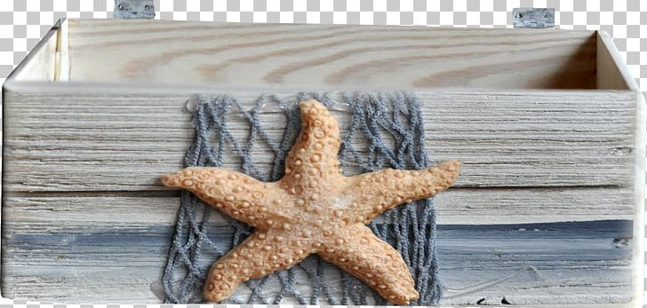 Starfish Wood Fishing Net PNG, Clipart, Animals, Box, Brown, Brown Starfish, Computer Network Free PNG Download